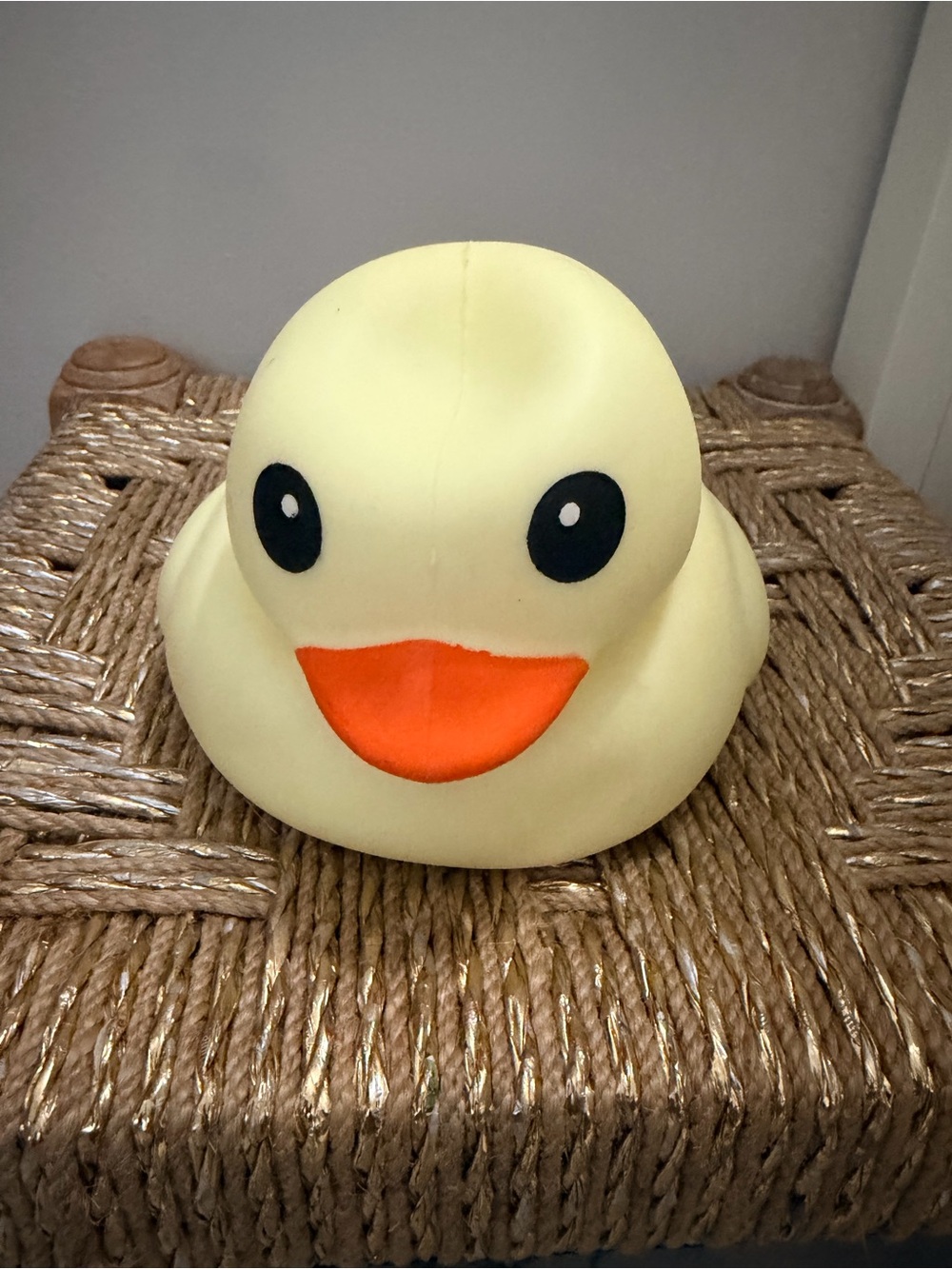 Yellow Jumbo Duck squishy
